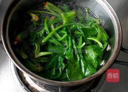 麻酱菠菜的做法图解4