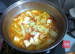 番茄花菜炖豆腐的做法图解8