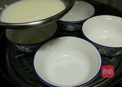 木瓜双皮奶的做法图解5