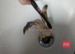 清蒸螃蟹的做法图解7