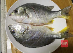 煎黄翅鱼的做法图解1