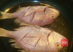 酱香红花鱼的做法图解2