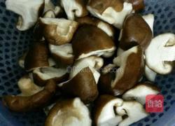 鲜菇滑鸡的做法图解2