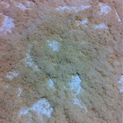 宝宝虾粉的做法[图]