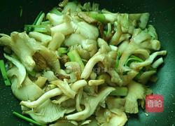 平菇炒肉片的做法图解8