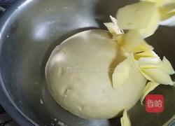 奶香豆沙小餐包的做法图解3