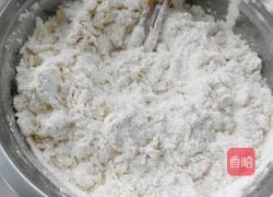 香菇胡萝卜鲜肉包的做法图解3