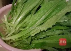 蒜蓉油麦菜的做法图解1