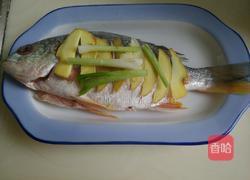 清蒸黄翅鱼的做法图解1