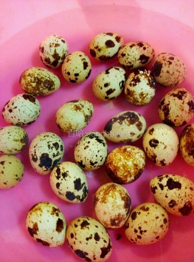 煮熟的鸽子蛋倒进装冷水的盆子里。
