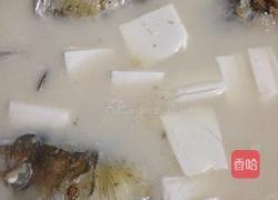 鱼头豆腐汤的做法图解6