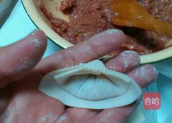 花样馄饨的做法的做法图解5