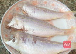 香煎黄花鱼的做法图解1