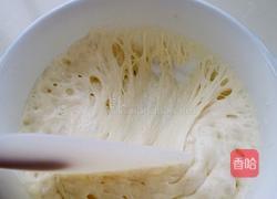 波兰酵种奶香土司的做法图解4