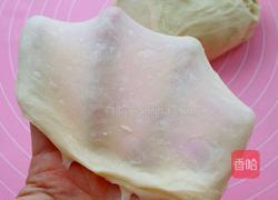 波兰酵种奶香土司的做法图解7