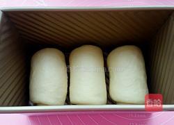 波兰酵种奶香土司的做法图解17