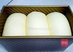 波兰酵种奶香土司的做法图解18