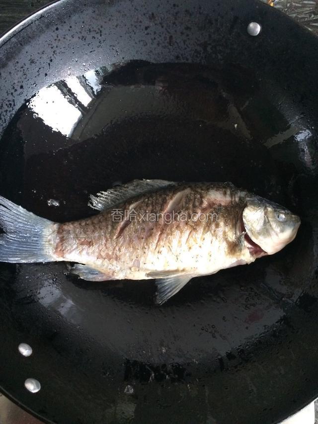 放入鲫鱼煎至两面金黄。