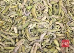 姜葱炒禾虫的做法图解1