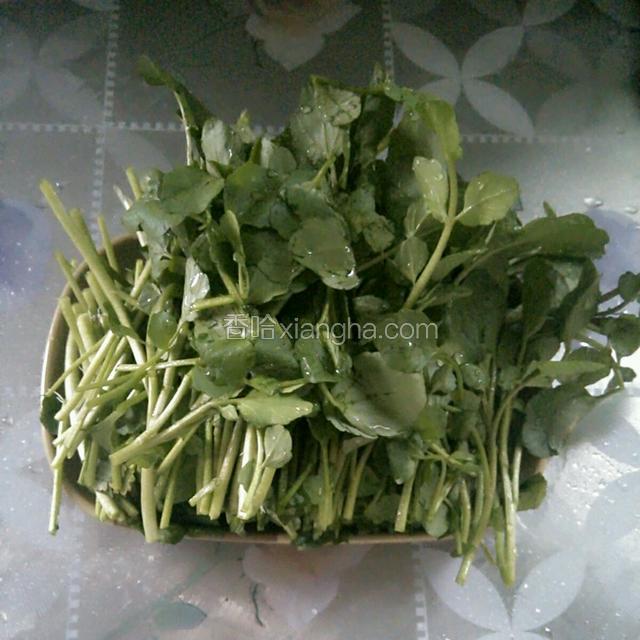 西洋菜去根洗净切两节。