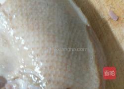 红烧鹅肉的做法图解4