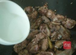 红烧鹅肉的做法图解7