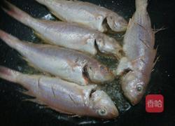 干煎金线鱼的做法图解3