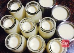 牛奶布丁的做法图解6