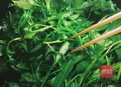 炒空心菜的做法图解4