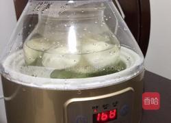 奇异果雪梨酵素的做法图解5