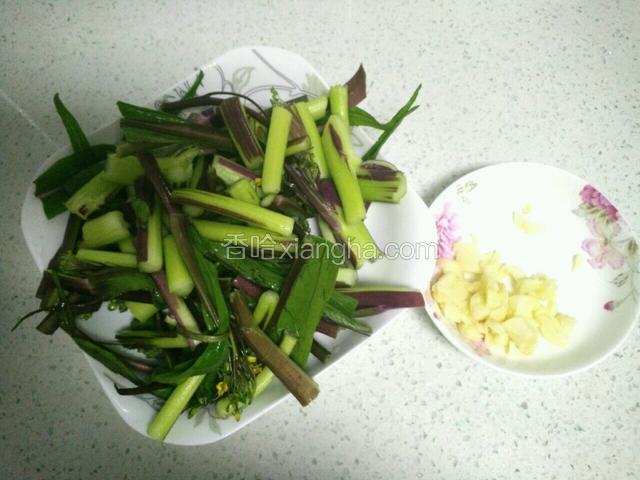 菜苔折断洗净备用，蒜切粒。