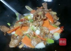 胡萝卜木耳炒猪肉的做法图解7