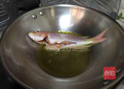 煎金丝鱼的做法图解6