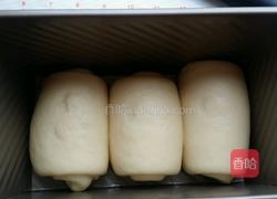 北海道土司的做法图解9