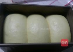 北海道土司的做法图解10