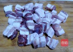 红烧肉炖宽粉的做法图解1