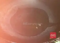 Illustration of how to make shredded chicken noodles 4