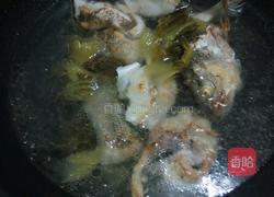 酸菜鲈鱼汤的做法图解3