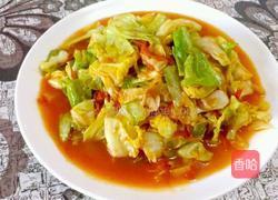 西红柿炒卷心菜的做法图解9