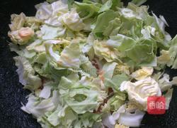 西红柿炒卷心菜的做法图解7