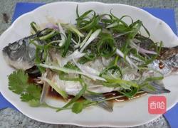 清蒸白鲫鱼的做法图解5