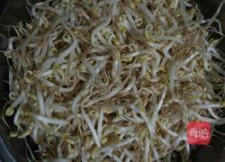 家常炒豆芽的做法图解1