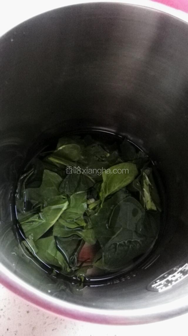 因为家里没有榨汁机，豆浆机代替。放入切好的菠菜加入适量水。