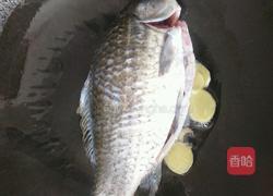 鲫鱼豆腐汤的做法图解4