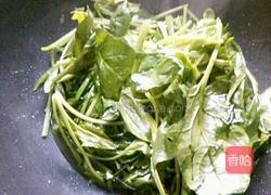 蒜蓉菠菜的做法图解5