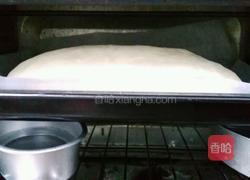 鸡肉火腿三明治的做法图解13