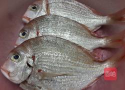 香煎红腊鱼的做法图解1