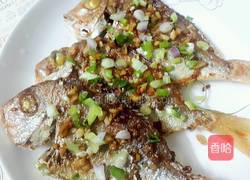 香煎红腊鱼的做法图解7