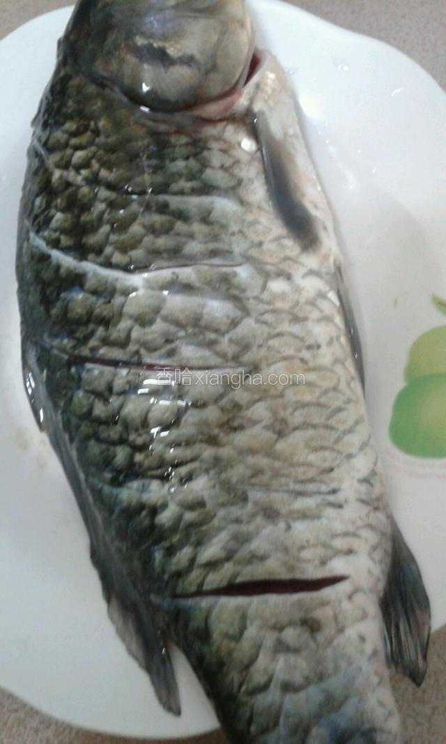 鲫鱼清洗干净打上花刀撒少许盐备用