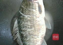 鲫鱼萝卜汤的做法图解4